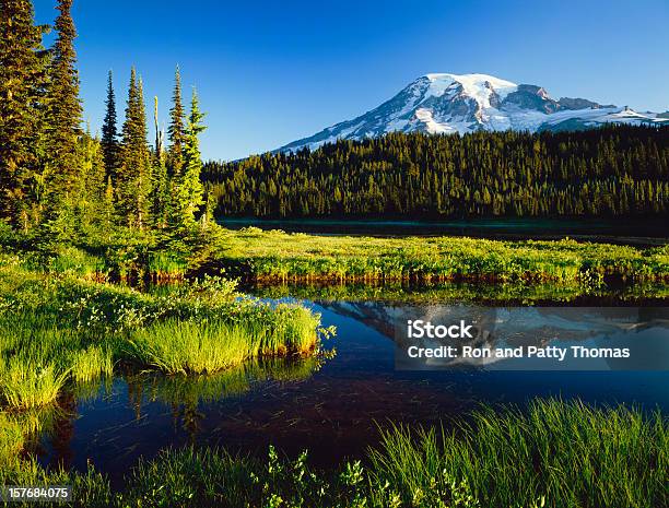 Monte Parque Nacional De Rainier - Fotografias de stock e mais imagens de Monte Rainier - Monte Rainier, Montanha, Estado de Washington