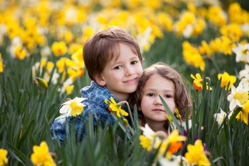 Lovely siblings smiling in blooming daffodils
