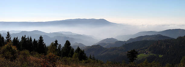 herbstliche landschaft mit nebel des black forest (deutschland - black forest fotos stock-fotos und bilder