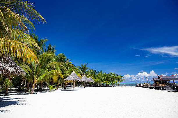 areia branca praia na ilha mabul, malásia, bornéu de sipadan - sipadan island imagens e fotografias de stock