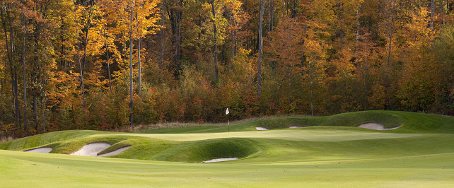 A panorama of a beautiful golf green in fall. Ontario, Canada in the Muskoka region. This is a par 4 hole on a golf course in a dense forest near Toronto. Golf Course Scenic with no people. Panorama. Beautiful turf conditions on this stunning golf course. Fall colours are prime and white flag is visible against forest backdrop. 