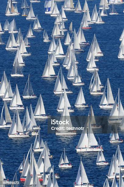 Regatta Barcolana Stock Photo - Download Image Now - Regatta, Trieste, Italy