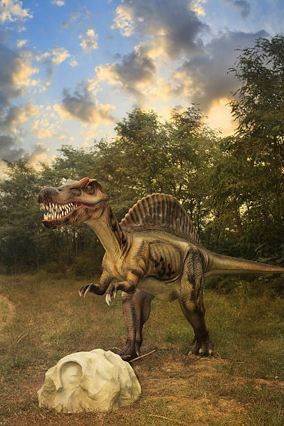istock Model of a Dinosaur Park 157684745