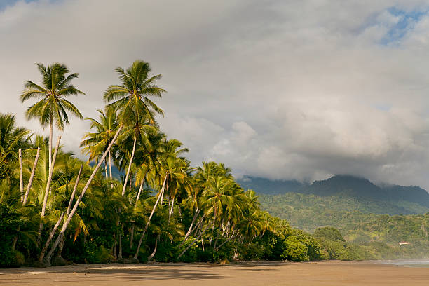 istock Uvita Beach in Costa Rica 157684750
