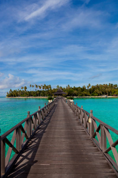 istock Jetty on Mabul island, Sipadan, Borneo Malaysia 157684859