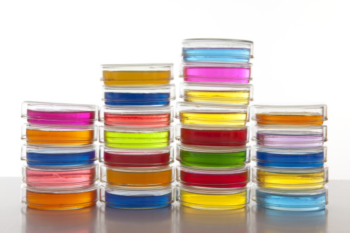 Front view of piled petri dishes with colored liquid in them