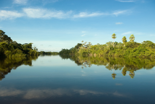 Pantano de Pantanal, Brasil photo
