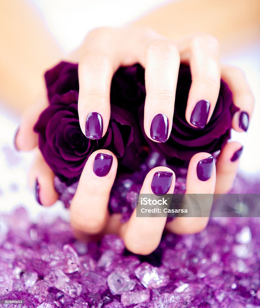 Purple nail polish Beautiful woman's hands holding purple petals Fingernail Stock Photo