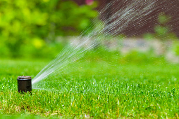 istock Irrigation system in home garden. Automatic lawn sprinkler watering green grass. Selective focus. 1576857062