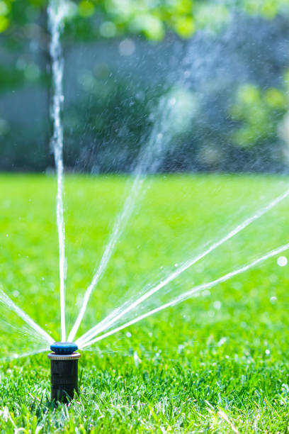 istock Irrigation system in home garden. Automatic lawn sprinkler watering green grass. Selective focus. 1576859111