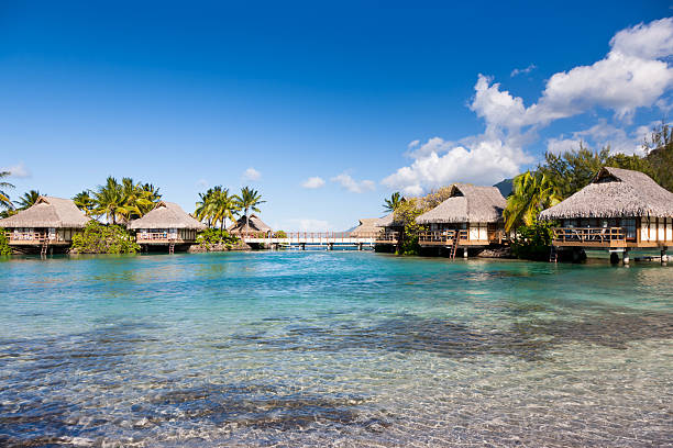istock Pacific Islands Holidays Tourist Resort 157685978