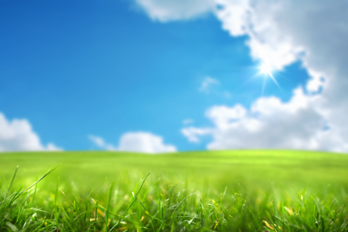 Natural panoramic landscape with spring meadow with curved horizon line. Field bright juicy green grass against a blue sky with clouds and sun flare.