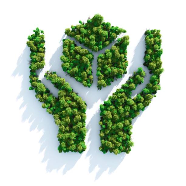 Handle with care image formed from grass Ecology concept: "Handle with care" shaped forest viewed from above. Computer generated, and lit with global radiosity. Subtle grain texture added. recycle symbol cut out stock pictures, royalty-free photos & images