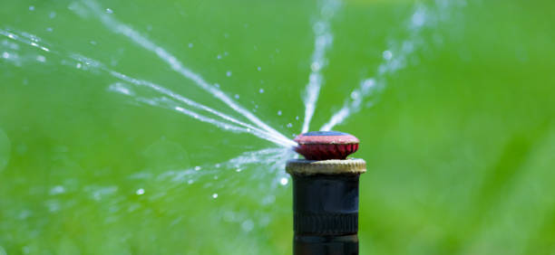 istock Irrigation system in home garden. Automatic lawn sprinkler watering green grass. Selective focus. 1576861672