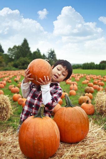 Young boy trying to stack pumpkins on top of haystack.