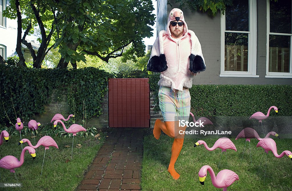 Flamingo Man Lawn A bearded man with sunglasses wears a flamingo bird costume in his front yard, surrounded by numerous kitsch yard decor plastic flamingos.  Horizontal with copy space. Bizarre Stock Photo