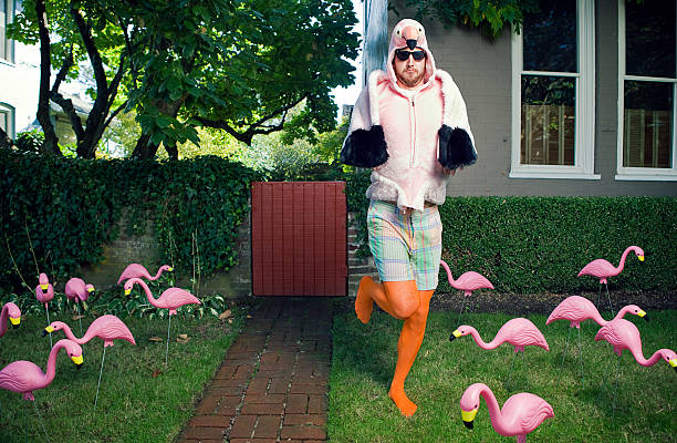 Flamingo Man Lawn A bearded man with sunglasses wears a flamingo bird costume in his front yard, surrounded by numerous kitsch yard decor plastic flamingos.  Horizontal with copy space. bizarre stock pictures, royalty-free photos & images