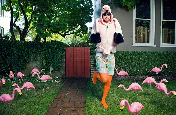 A bearded man with sunglasses wears a flamingo bird costume in his front yard, surrounded by numerous kitsch yard decor plastic flamingos.  Horizontal with copy space.