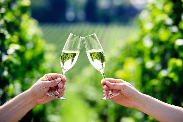 Toasting with two glasses of Champagne in the vineyard stock photo