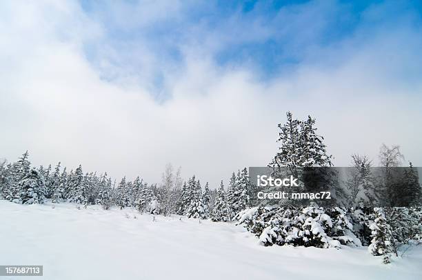 Foto de Paisagem Do Inverno Com Neve E Árvores e mais fotos de stock de Ajardinado - Ajardinado, Azul, Branco