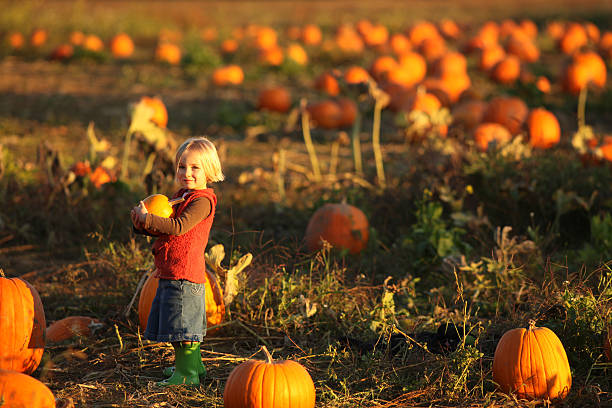 bambina nel campo di zucche - pumpkin child little girls pumpkin patch foto e immagini stock