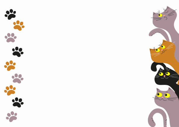 Banner, frame, kittens, trace. Cartoon kittens, trace of a cat. International Cat Day. Place for inscription, text. Banner, frame with funny kittens. Vector illustration, white background, isolated. kitten wallpaper stock illustrations