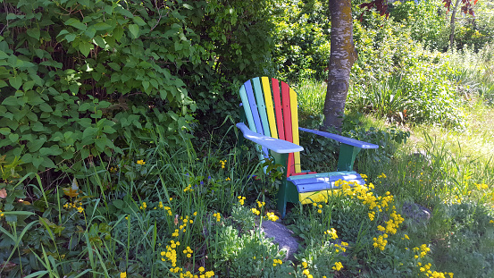 Colorful old Adirondack Chair sitting quietly among the wild flowers ,shrubs and bushes. Springtime in May.