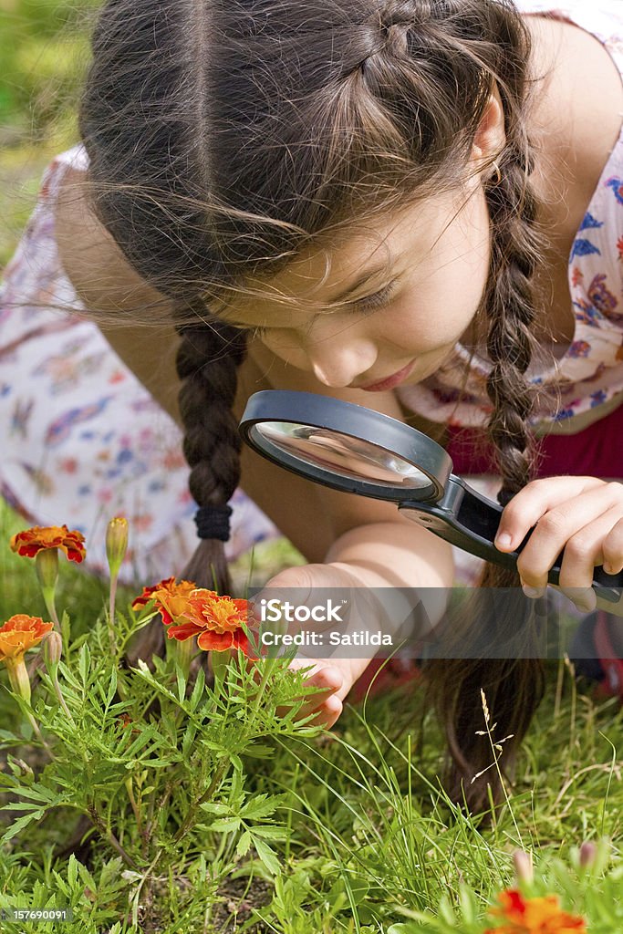 Girl sees flowers through magnifying glass girl sees flowers through magnifying glass in summer Child Stock Photo