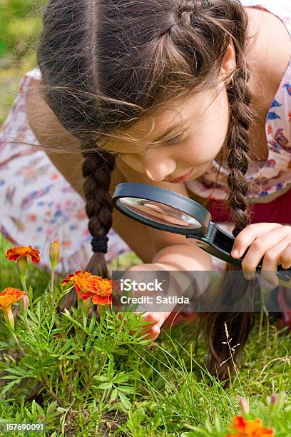Girl Sees Flowers Through Magnifying Glass Stock Photo - Download Image Now - Child, Magnifying Glass, Science