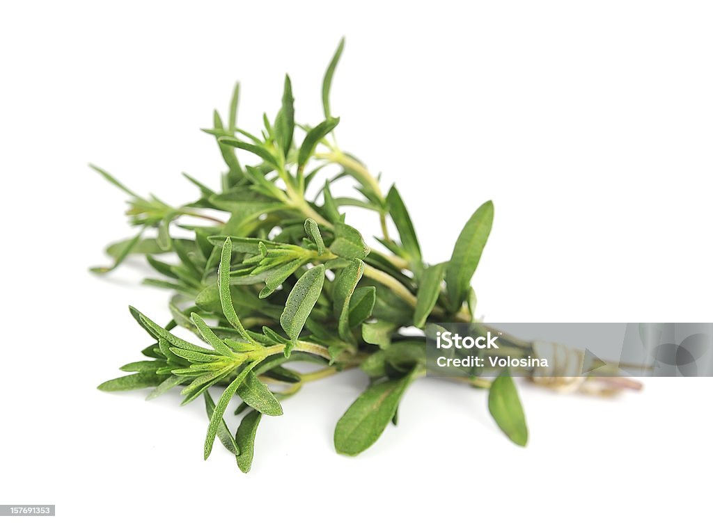 Thyme fresh herb Thyme fresh herb isolated on white background Aromatherapy Stock Photo