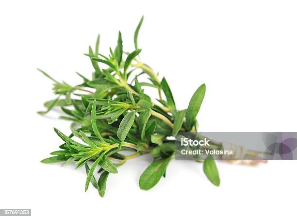 Thyme Fresh Herb Stock Photo - Download Image Now - Aromatherapy, Food, Freshness