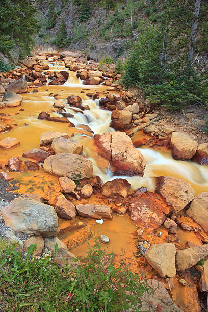 Rocky Mountain national park, Colorado - USA, May 4, 2024. Hikers trek along the Alluvial Fan trail where the Roaring river  breached an earthen dam at Lawn Lake in 1982. The ensuing flood created the Alluvial Fan.