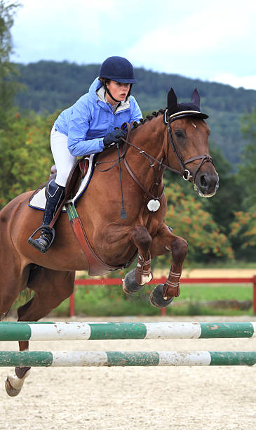 istock Warming up for a show jumping competition, Norway 157692135