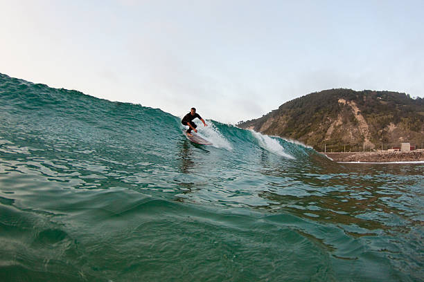 longboarder - longboarding surfing bildbanksfoton och bilder