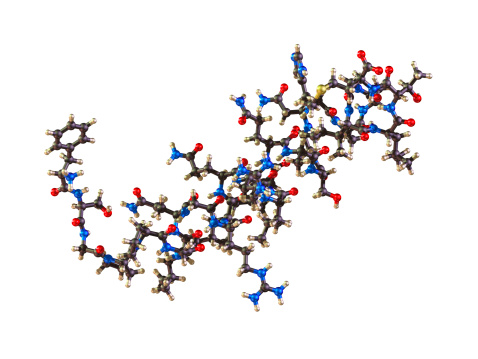 A ball-and-stick molecular model of the hormone Orexin, also known as Hypocretin.  Orexin is involved in the regulation of the sleep/wake cycle and it stimulates apetite, wakefulness and energy expenditure. It has been linked with Alzheimer's disease.  Isolated on white.