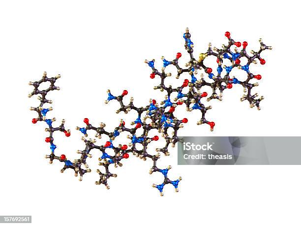 Cząsteczka Orexin - zdjęcia stockowe i więcej obrazów Białko - Białko, Cząsteczka, Chemia - Nauka