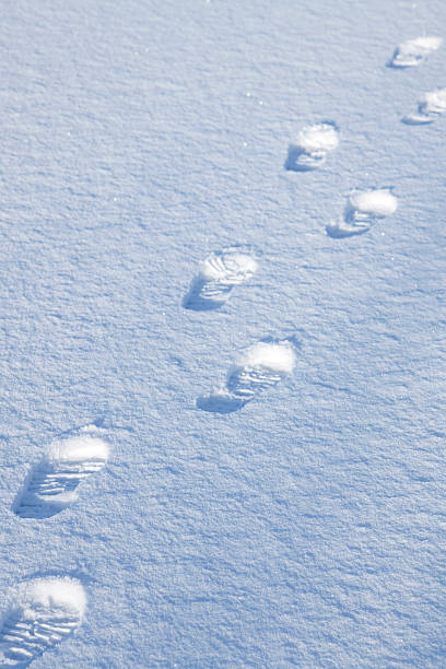 istock Walking in a winter wonderland....Footprints on the snow. 157692681