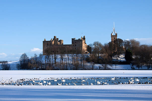 snowy linlithgow palace, west lothian, scozia. - linlithgow palace foto e immagini stock