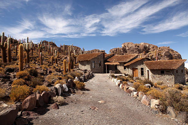 Houses in Isla Incahuasi, Bolivia