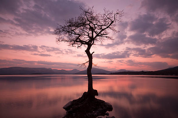istock Milarrochy Bay, Loch Lomond at Sunset. 157693045