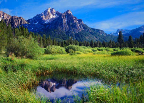 The Sawtooth Range  is reflected perfectly in the water in a meadow, in the Sawtooth National Recreation Area of Stanley, Idaho. 