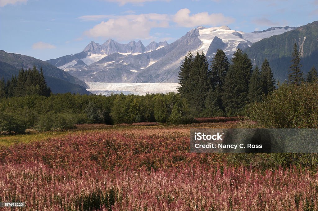 Glacier Mendenhall, Prairie, montagnes, Juneau, en Alaska - Photo de Glacier Mendenhall libre de droits