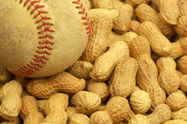 baseball et cacahuètes, all-american association, saison - baseball baseballs peanut american culture photos et images de collection