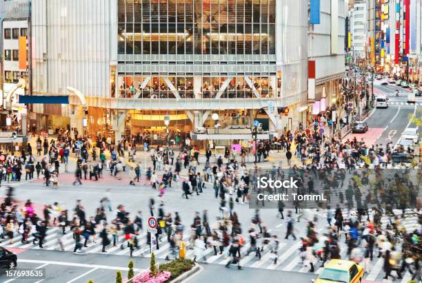 Cruzamento De Shibuya - Fotografias de stock e mais imagens de Andar - Andar, Ao Ar Livre, Bairro de Shibuya