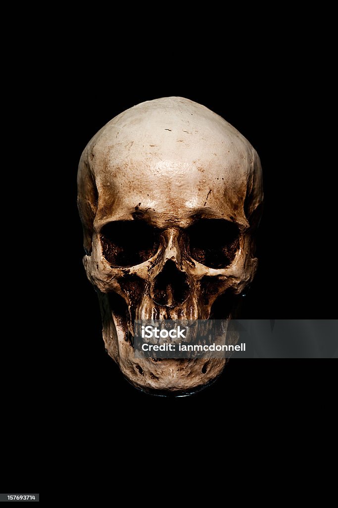 skull skull on black Human Skull Stock Photo