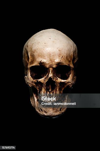 Skull Stock Photo - Download Image Now - Human Skull, Human Skeleton, Spooky