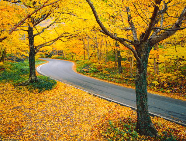 istock Autumn In Vermont 157693814