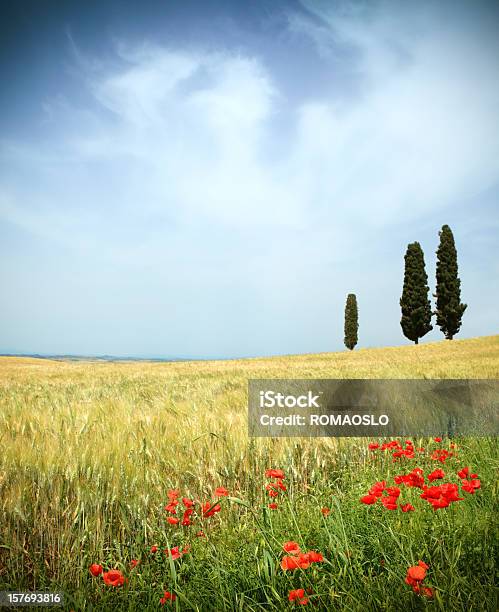 Val Dorcia Campo Poppies E Cypresses Con Cielo Variabile Toscana - Fotografie stock e altre immagini di Ambientazione esterna