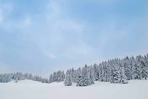 istock Winter Landscape with Snow and Trees 157693875