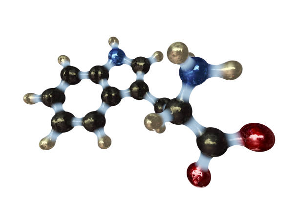 istock Amino Acid Tryptophan 157693928
